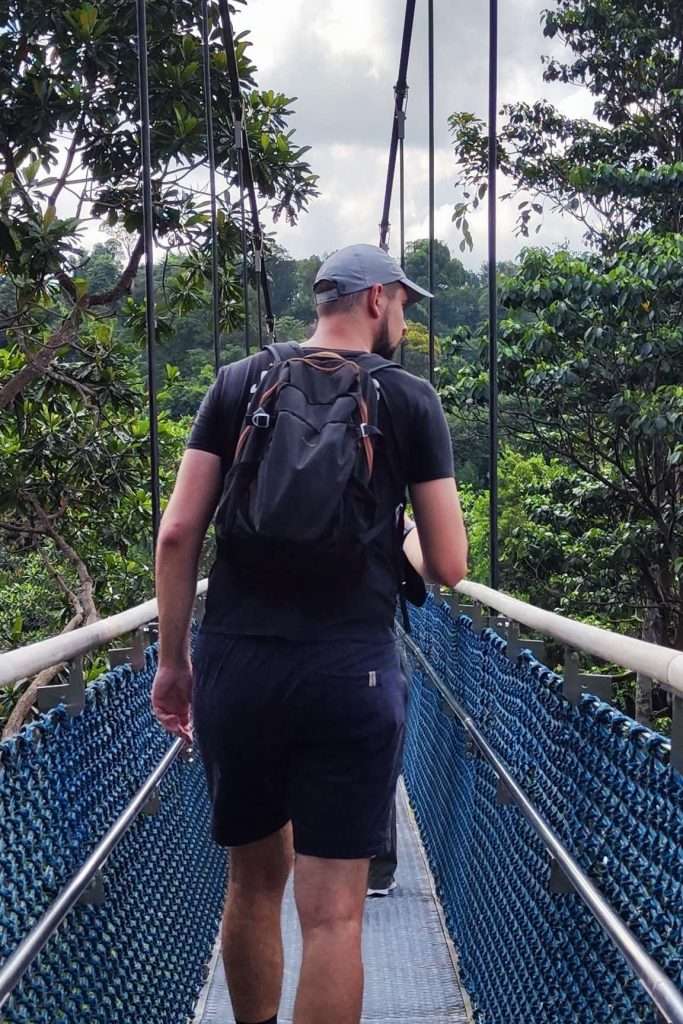 Arthur Pluchard photo de profil Arthur Pluchard photo de profil